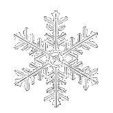 A Breath of
         Snow & Ashes